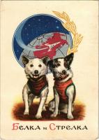 Belka and Strelka, Soviet space dogs that spent a day in space aboard Korabl-Sputnik 2 (Sputnik 5) on 19 August 1960 before safely returning to Earth. They are the first higher living organisms to survive an orbital trip in outer space (EK)