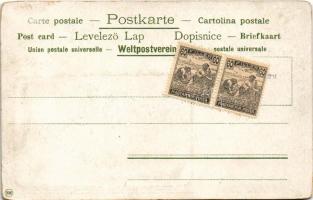 Budapest I. Várbazár. Szecessziós litho papagájjal, Art Nouveau (kopott sarkak / worn corners)