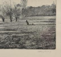 Wieszt József (1951-2007): Mártélyi Tisza-part. Rézkarc, papír, jelzett, számozott (3/100), üvegezet...