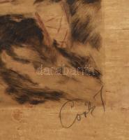 Csók István (1865-1961) - Prihoda István (1891-1956): Báthory Erzsébet. Színezett rézkarc, papír, je...