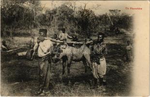 Un Phacochere / African folklore, warthog, Afrikai folklór