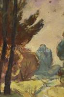 Stéhlik Lajos (1907-1997): Táj. Olaj, karton. Jelezve balra lent (töredékesen). Fakeretben. 50x36 cm