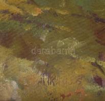 Stéhlik Lajos (1907-1997): Táj. Olaj, karton. Jelezve balra lent (töredékesen). Fakeretben. 50x36 cm