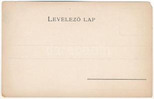 Csongrád vármegye térképe. Kiadja Károlyi Gy. / Map of Csongrád County (EM)