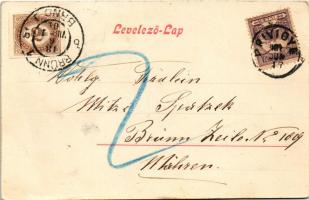 1901 Bajmócfürdő, Bojnické kúpele (Bajmóc, Bojnice); fürdő / spa, bath (fa)