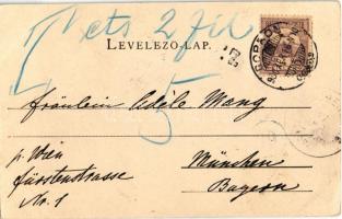 1900 Sopron, Városház tér. Nathan Blum kiadása (fl)