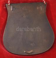 Budafok-Háros. Bronz plakett, dobozában, 14,5x13,5 cm