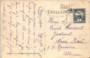 Nagysink, Gross-Schenk, Cincul Mare, Cincu; látkép. C. & A. Wandschneider kiadása / general view...