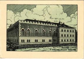 Temesvár, Timisoara; A restaurált Hunyadi várkastély. Kiadja a Délvidéki Egyetemi és Főiskolai Hallgatók Egyesülete / castle, irredenta art postcard s: Lamoss (EK)