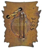 ~1957-1960. "DCM építéséért - KISZ 1919-1957" részben zománcozott bronz jelvény, hátoldalá...