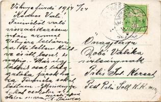 1914 Vihnye, Vihnyefürdő, Kúpele Vyhne; Hell és Licskóház nyaralók. Joerges 1910. / villa hotels (EK...