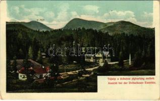 1911 Dobsina, Dobschau; Tájkép a jégbarlang mellett. Fejér Endre kiadása (kopott sarkak / worn corners)