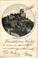 1905 Nagyszalánc, Nagy-Szaláncz, Szalánc, Salanc, Slanec; vár / castle (EK)