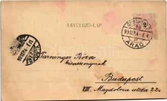 1899 (Vorläufer) Pankota, Pancota; Fő tér / main square (fl)