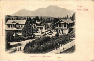 Matlárháza, Matliary, Tatranské Matliare (Magas-Tátra, Vysoké Tatry); Tátraháza szálló. Julius Kuszmann / hotel (EB)