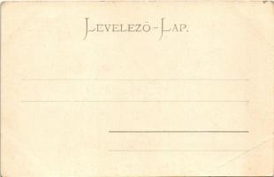 Matlárháza, Matliary, Tatranské Matliare (Magas-Tátra, Vysoké Tatry); Tátraháza szálló. Julius Kuszm...