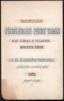 1878 nagyméltóságú Péchujfalusi Péchi Tamás m. kir. közmunka és közlekedési minister úrnak feliratos, kézzel rajzolt mappa, beltartalom nélkül 28x40 cm Foltos.