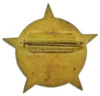 1985. "Dicsőség a hősöknek 1945-1985" aranyozott, műgyantás bronz jelvény (38x40mm) T:AU