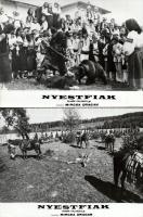 cca 1973 ,,Nyestfiak" című román kalandfilm jelenetei és szereplői, 19 db vintage produkciós fi...