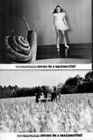 cca ,,Zsuzsi és a varázsgyűrű" című NDK film jelenetei és szereplői, 21 db vintage produkciós f...