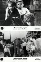 cca 1965 ,,A szeretet jogán" című szovjet film jelenetei és szereplői, 11 db vintage produkciós...