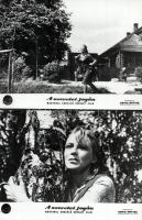 cca 1965 ,,A szeretet jogán" című szovjet film jelenetei és szereplői, 11 db vintage produkciós...