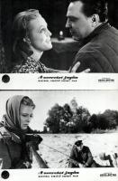 cca 1965 ,,A szeretet jogán" című szovjet film jelenetei és szereplői, 11 db vintage produkciós...