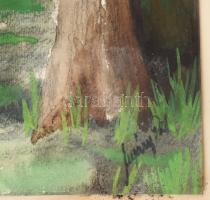 Nyáregyházi báró Nyáry Pál (?-?): Zöldellő táj. Akvarell, papír. Jelezve jobbra lent. Papírra kasíro...