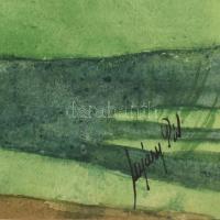 Nyáregyházi báró Nyáry Pál (?-?): Liget. Akvarell, papír. Jelezve jobbra lent. Kartonon. Karton szél...