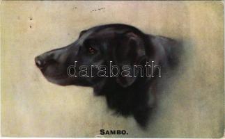 1915 Sambo / Dog art postcard. Celesque Series (kis szakadás / small tear)