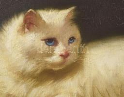 Boleradszky Benő (1885-1957): Cica. Olaj, vászon, jelezve jobbra fent. 40x50 cm