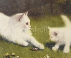 Boleradszky Benő (1885-1957): Macska kiscicával. Olaj, vászon, jelezve jobbra fent. Dekoratív, kissé...