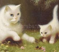 Boleradszky Benő (1885-1957): Macska kiscicával és csigával. Olaj, vászon, jelezve jobbra fent. Kiss...