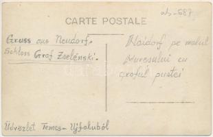 Temesújfalu, Temesvár-Újfalu, Neudorf; Gróf Zselénszky kastély, kert traktorral / castle, garden wit...