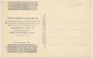 Piski, Simeria; Transylvania Musterzuchtfarm u. Fachschule A.G. / Ferma Model si Scoala Speciala S.A...