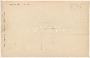 Sepsiszentgyörgy, Sfantu Gheorghe; Primaria / Városháza, üzletek, autóbusz / town hall, shops, autob...