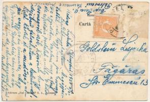 1924 Petrozsény, Petroseni, Petrosani; Strada Regele Ferdinand cu Libraria Jiul Cultural / Ferdinánd...