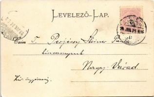 1899 (Vorläufer) Versec, Werschetz, Vrsac; Rickli-Haus / villa. Wilh. Wettl kiadása / villa (fl)