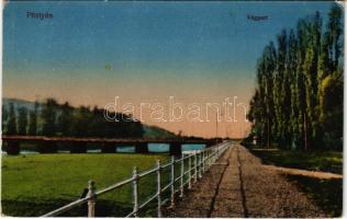 Pöstyén, Piestany; Vágpart. Vasúti levelezőlapárusítás 64-1917. / Váh riverside