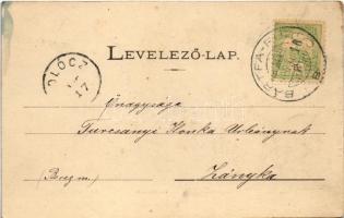 1904 Bártfa, Bártfafürdő, Bardejovské Kúpele, Bardejov; Erzsébet, Anna és Dr. Hintz lak, Viszontlátá...