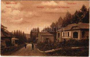 1911 Bártfa, Bártfafürdő, Bardejovské Kúpele, Bardejov; Felső erdősor, Mignon, Milleneum, Dr. Batek villa. Divald 27-1909 / villas