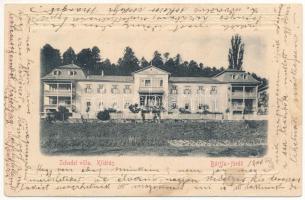 1906 Bártfafürdő, Bardejovské Kúpele, Bardejov; Schedel Villa, Kilátás. Eschwig Ede F. kiadása és Hajts Kornél felvétele, dombornyomott szecessziós (ázott / wet damage)