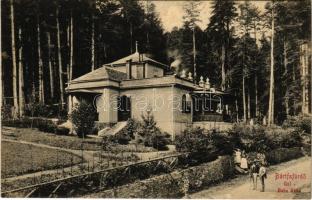 1913 Bártfafürdő, Bardejovské Kúpele, Bardiov, Bardejov; Gül Baba villa. Eschwig és Hajts kiadása. Hajts Kornél felvétele / villa, spa (fl)