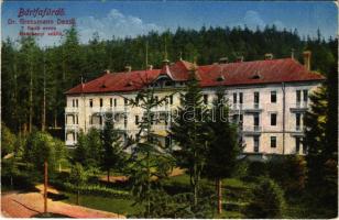 1913 Bártfafürdő, Bardejovské Kúpele, Bardiov, Bardejov; Dr. Grossmann Dezső fürdő orvos Széchenyi szállója / hotel (EK)