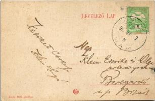 1912 Mezőkaszony, Koszony, Koszinó, Kosino, Koson; Kossuth Lajos utca, Gyógyszertár. Klein Béla kiad...