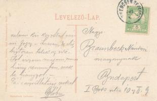 Trencsénteplic-fürdő, Kúpele Trencianske Teplice; Villa Petőfi. Wertheim Zsigmond kiadása