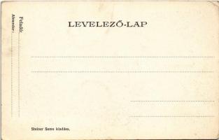 Trencsénteplic, Trencianske Teplice; Dr. Heinrich nyaraló. Steiner Samu kiadása / villa (EK)