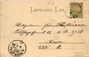 1904 Trencsénteplic, Trencianske Teplice; utca, üzlet, népviselet. Gansel Lipót 196. / street, shop,...