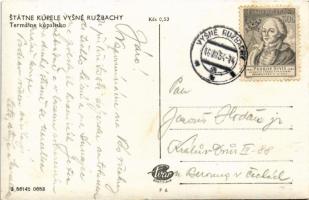 1954 Felsőzúgó-fürdő, Ruzsbachfürdő, Bad Ober Rauschenbach, Kúpele Vysné Ruzbachy; Termálne kúpalisk...