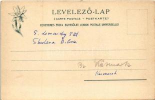 Tátra, Magas-Tátra, Vysoké Tatry; Tarpataki hidegfürdő, Lomnici-csúcs és Középorom. Feitzinger Ede 5...